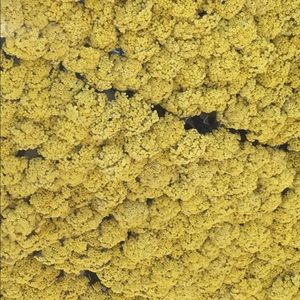 Meet your Posher, Maya